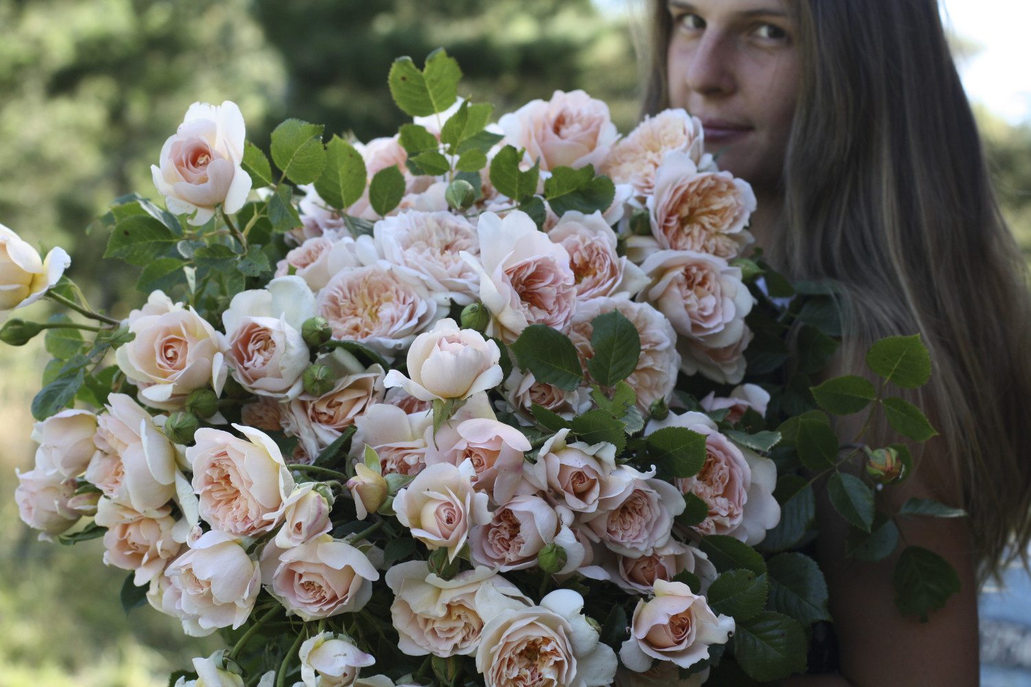 The {Farmer} & the Florist Interview: Field of Roses + The Seasonal Flower  Movement in New Zealand - Floret Flowers