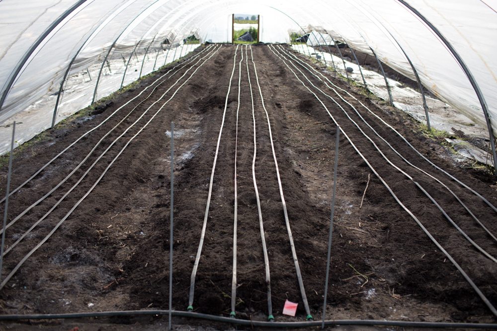 Floret hoop house flower bed soil preparation 