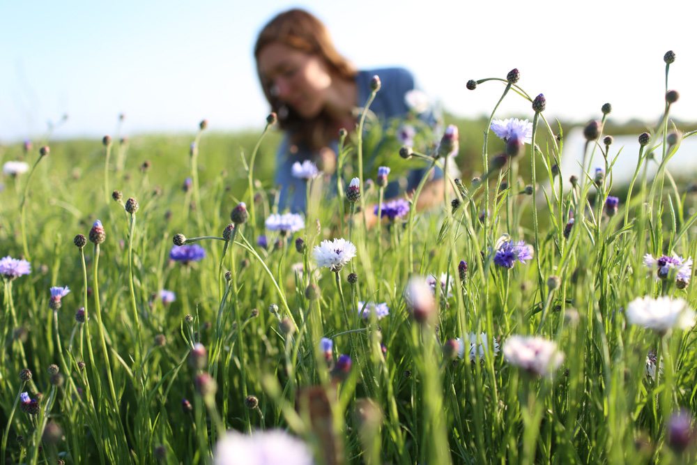 Floret_Grow_More_Flowers-3