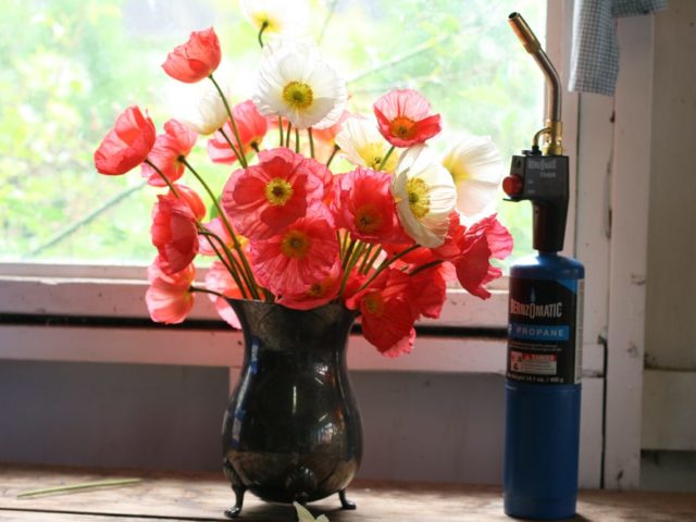 A vase of poppies next to a blow torch