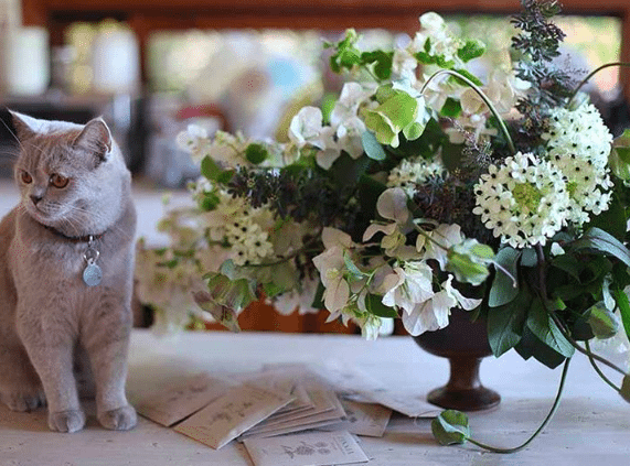 A cat sitting next to a flower arrangement
