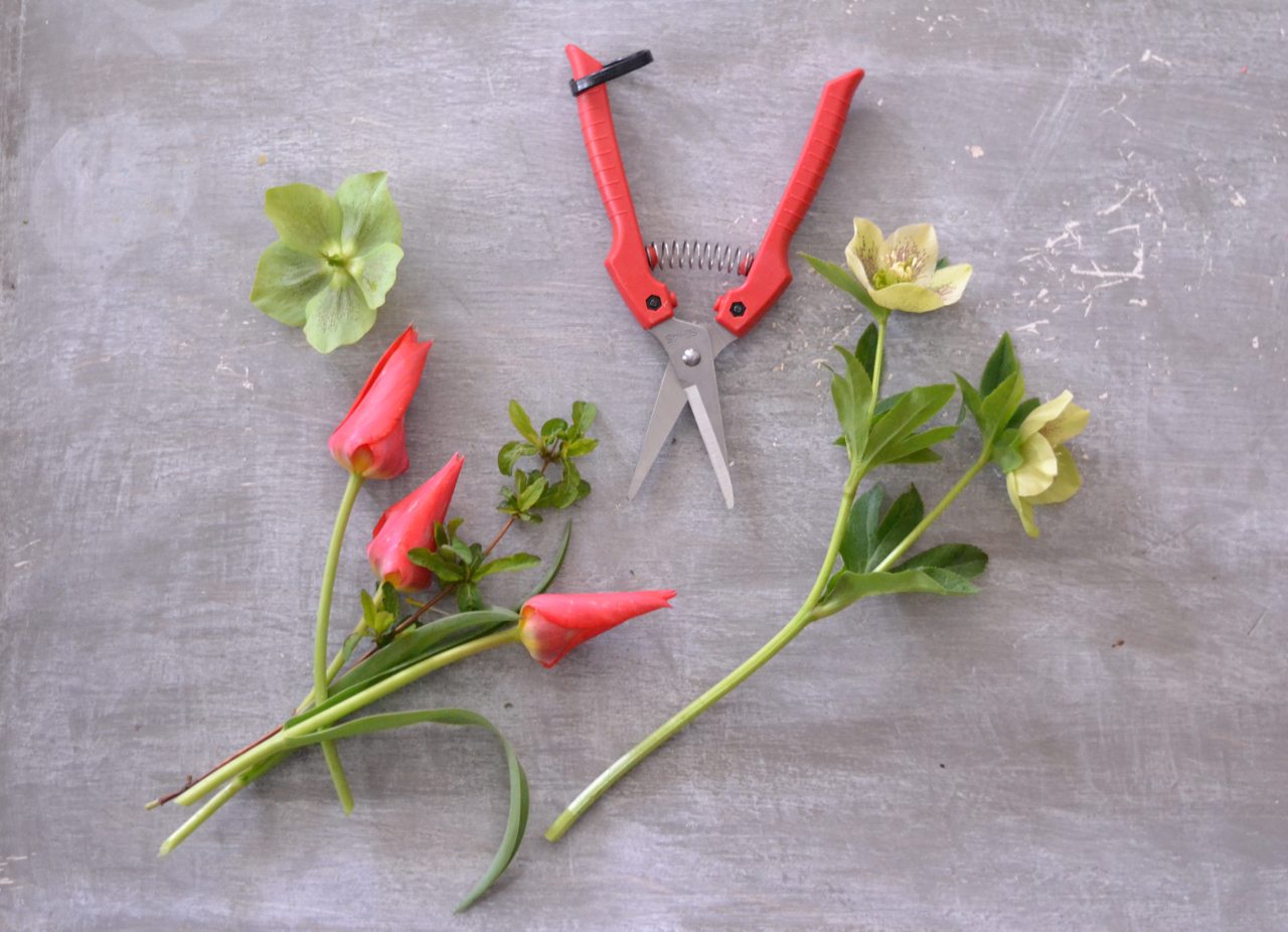 Professional Fresh Flower Stem Cutter - Perfect for Floral Arrangements