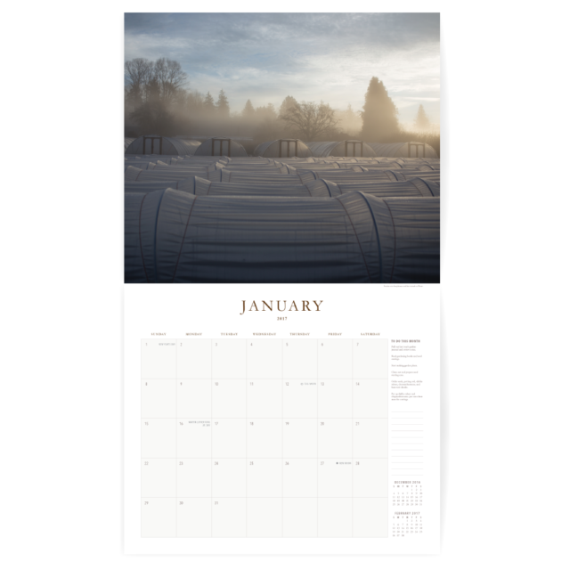 calendar-graphics-3