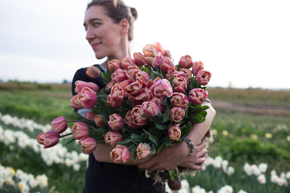 Erin Benzakein holding an armload of tulips