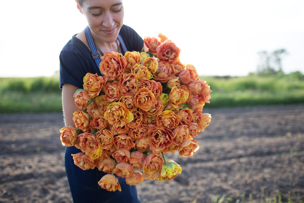 Erin Benzakein holding an armload of tulips