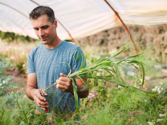 Chris Benzakein harvesting grass