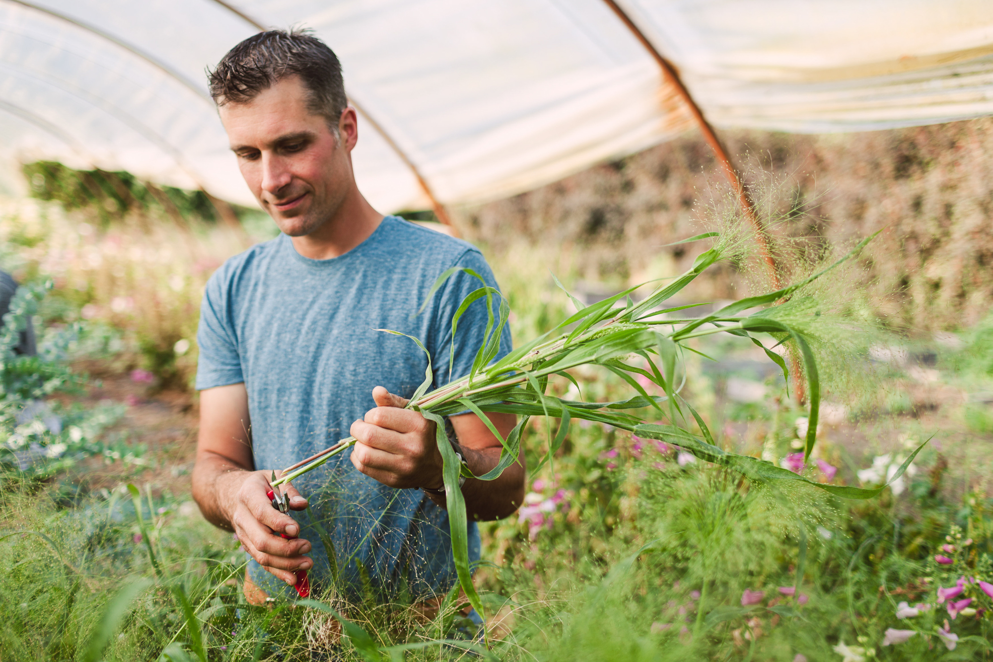 Chris Benzakein harvesting grass