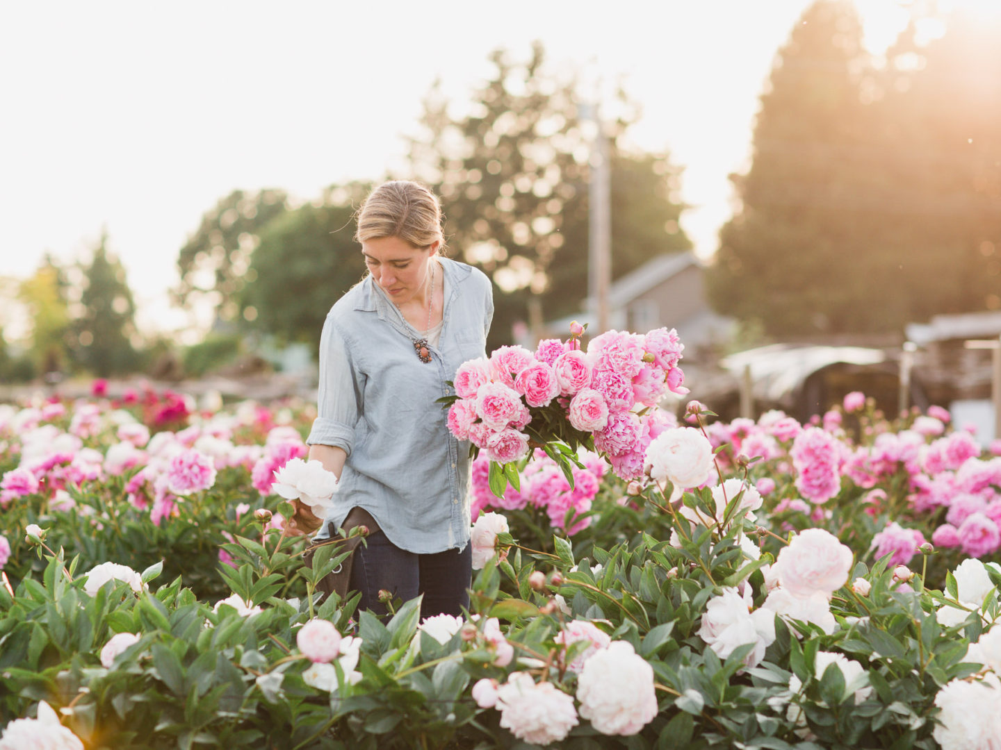 book - floret flowers