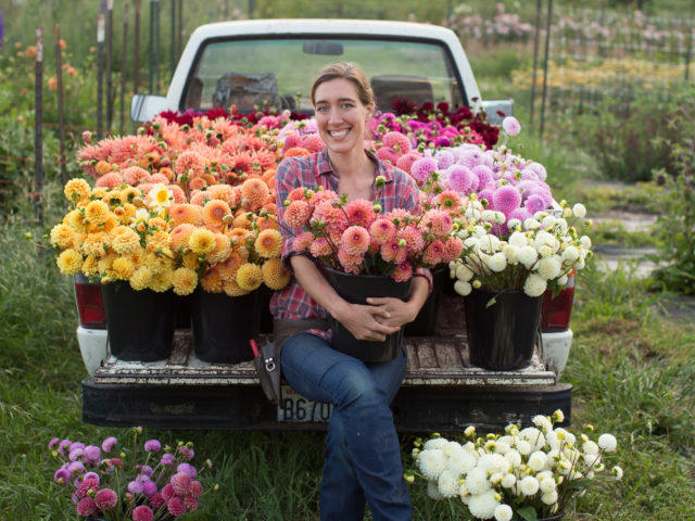 Erin Benzakein sitting in a truck bed full of dahlias