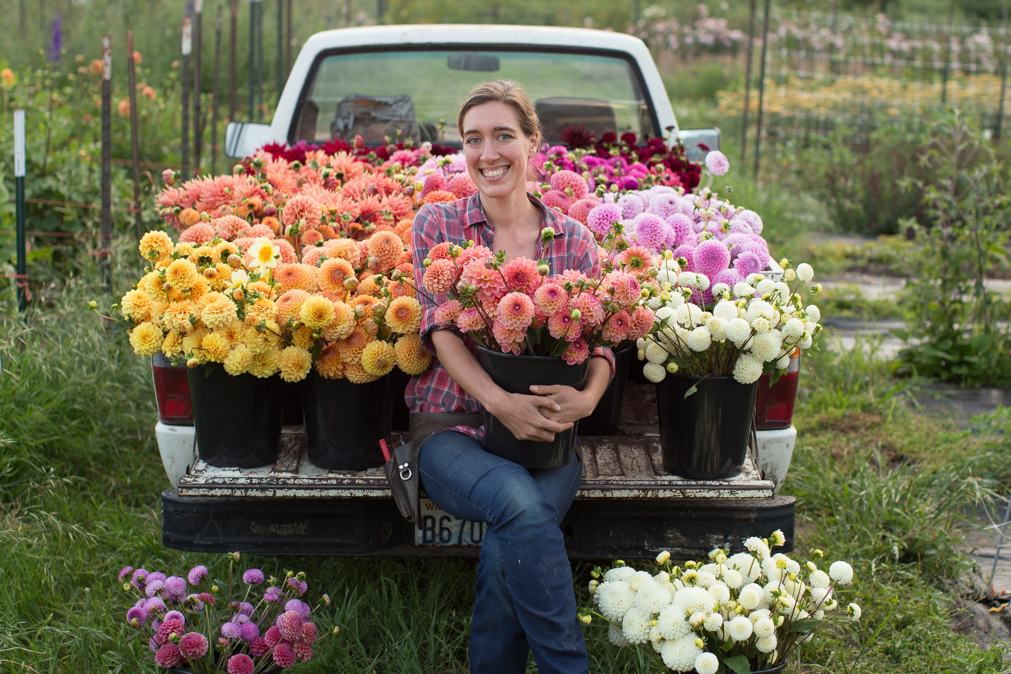 Erin Benzakein sitting in a truck bed full of dahlias