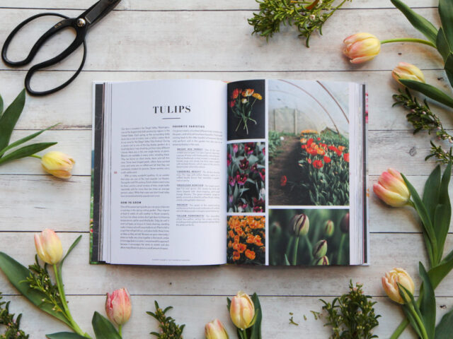 Floret book surrounded by flowers
