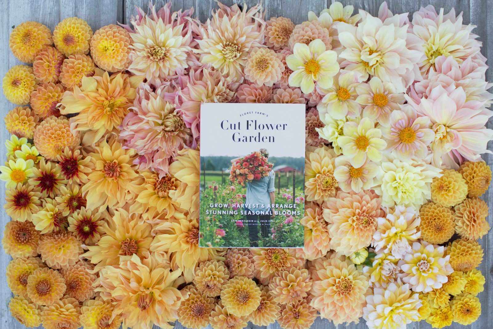 Floret Book Updates Flowers