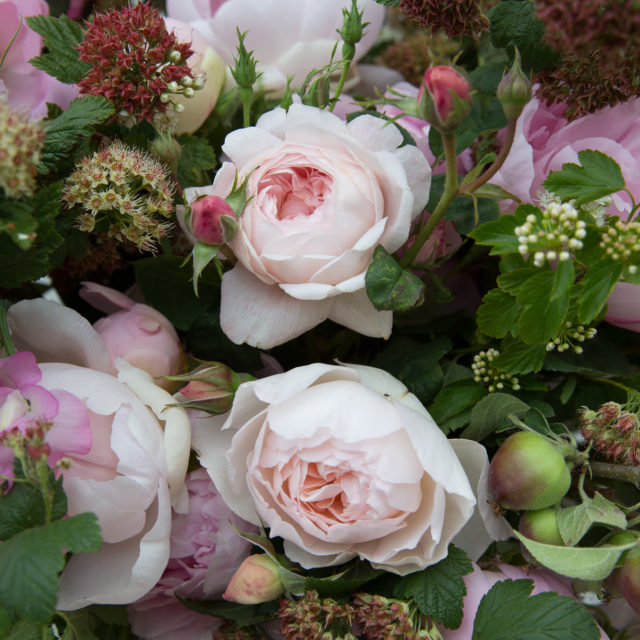 Close up of pink flowers in an arrangement