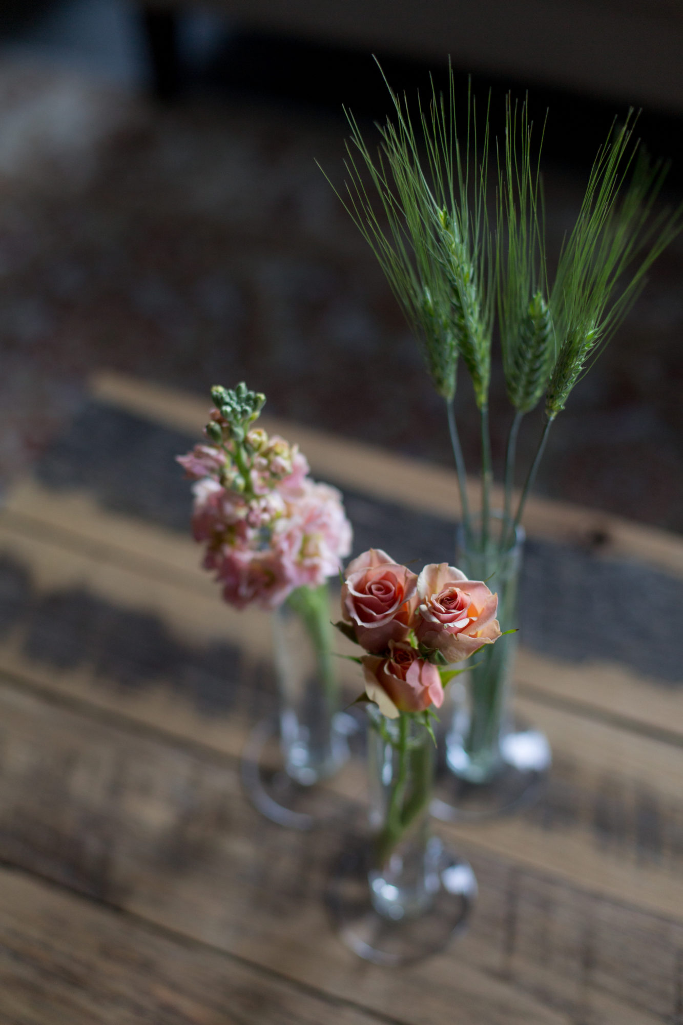 Tips on Taking Better Flower Photos Floret Flowers