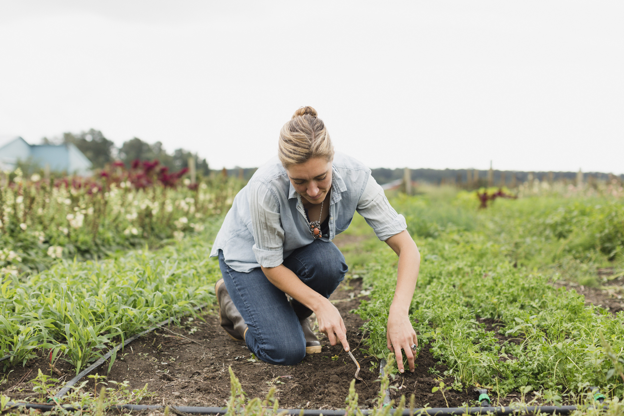 Erin Benzakein weeding a garden bed