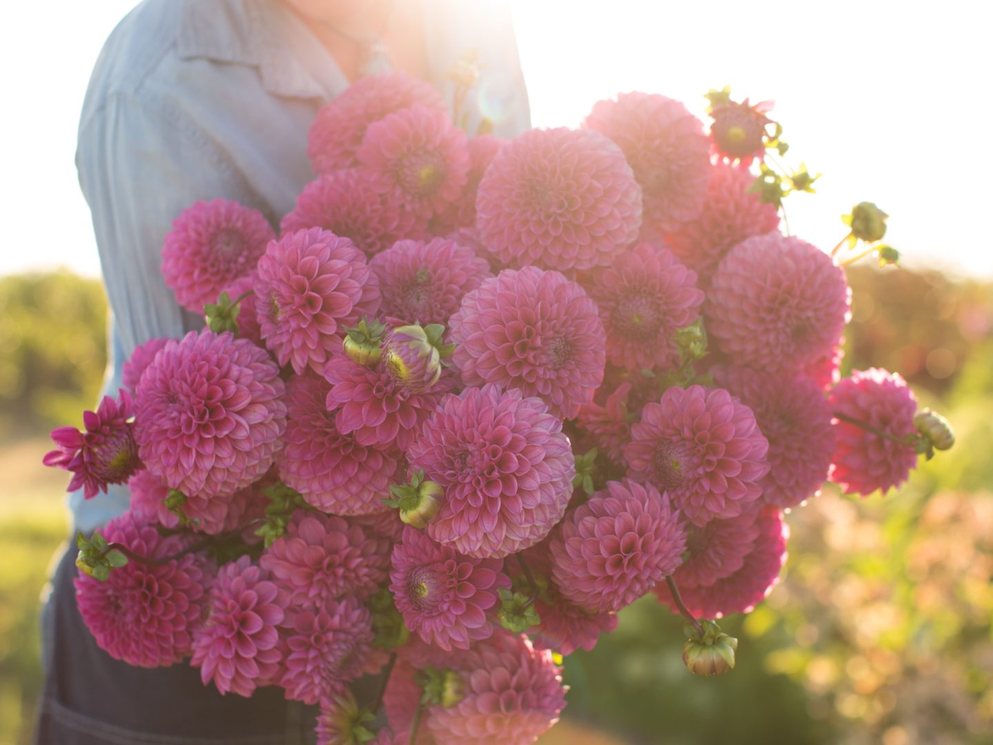 Online Floret Flowers