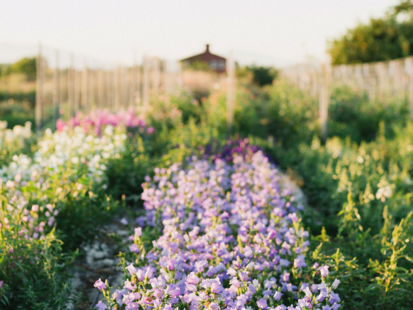 Floret Online Workshop