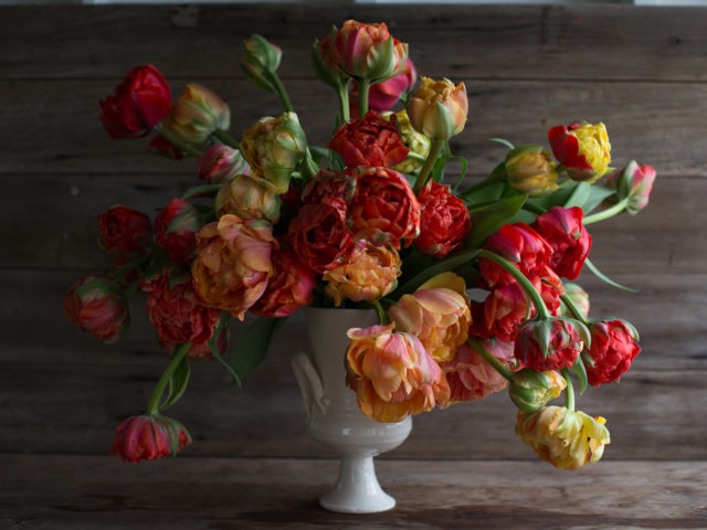 Tulips in a ceramic vase