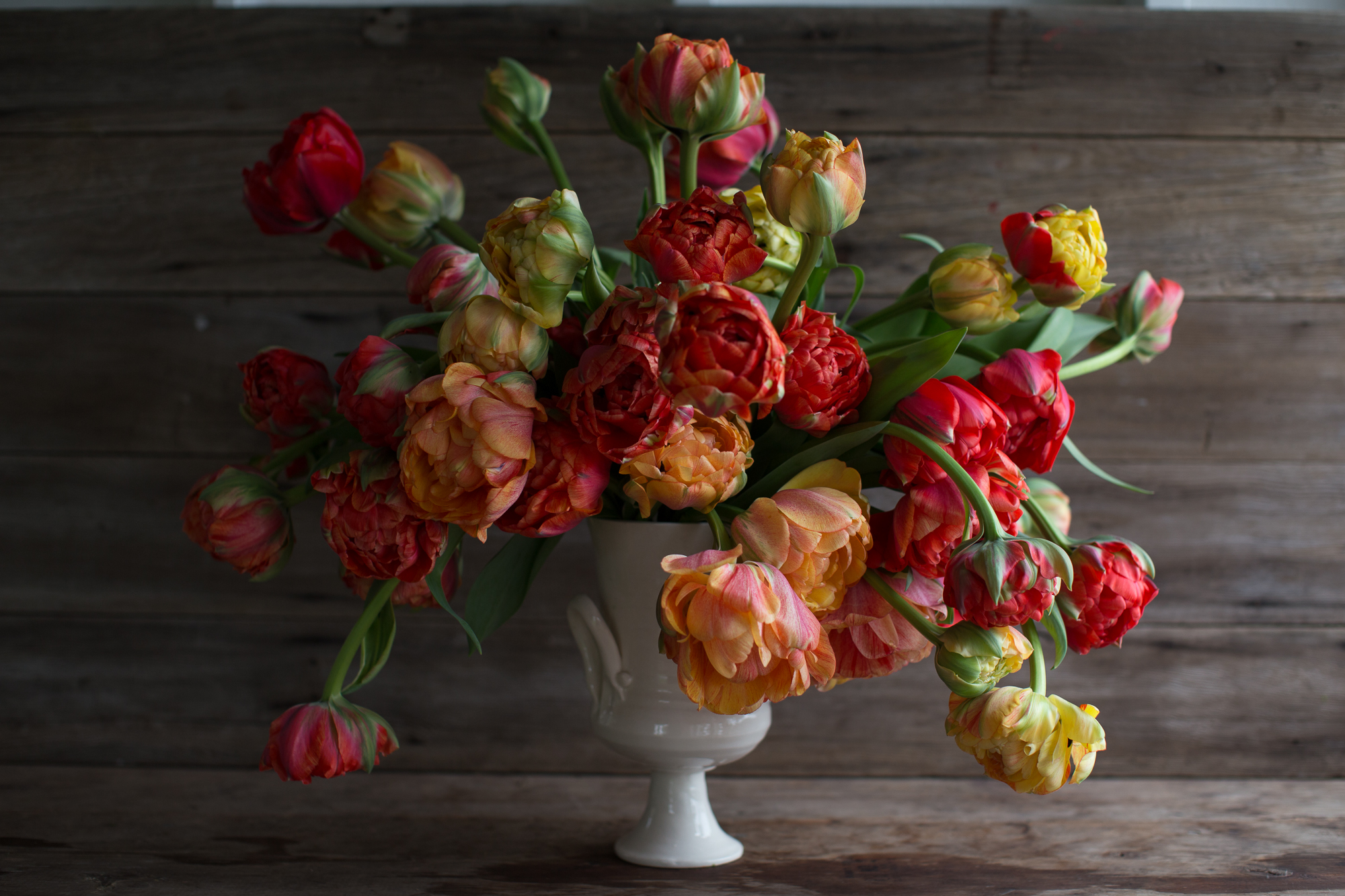 Tulips in a ceramic vase