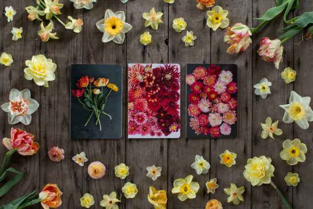 Floret Cut Flower Garden Notebook Trio