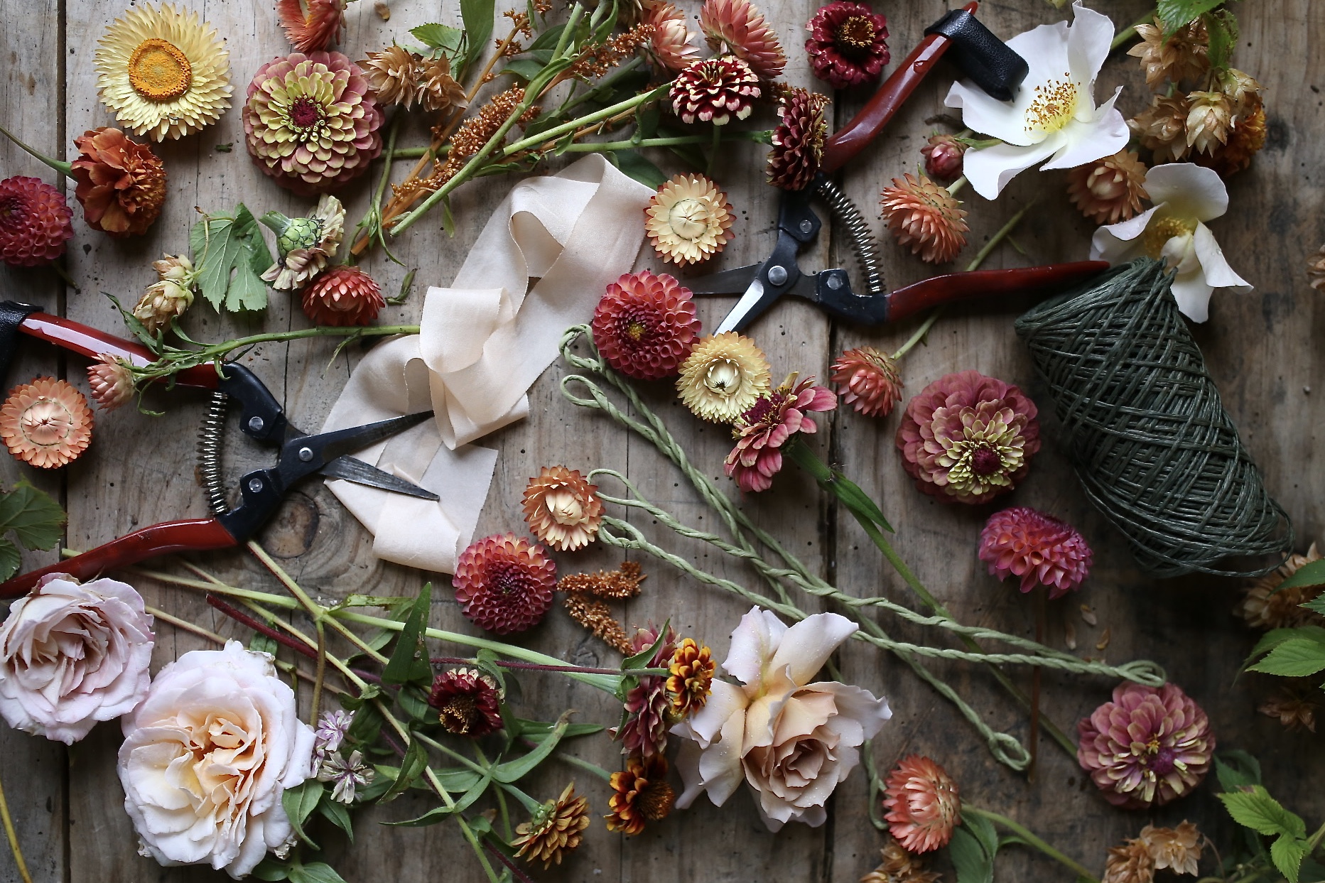 The {Farmer} & The Florist Interview: Zoë Field - Floret Flowers