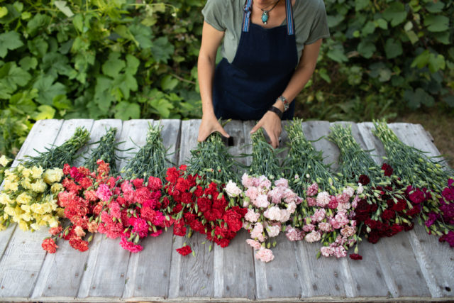 Floret Flowers