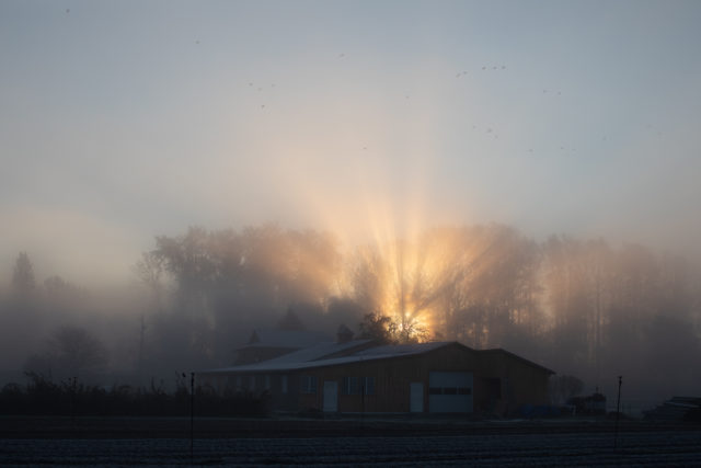 light over barn at dawn