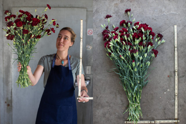 long stemmed heirloom carnations