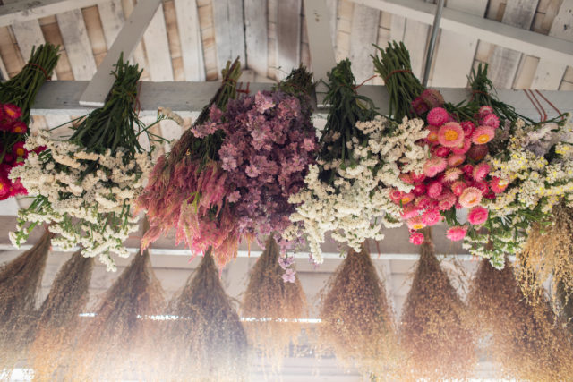 20 PCS Set Pressed Pink Flowers, Real Dried Pressed Flowers, Real Pink Flower  Stems, Preserved Pink Flat Flowers, Pressed Dry Flower Stems 