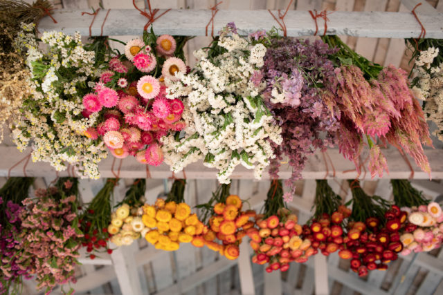 Dried flowers hanging from ceiling at Floret