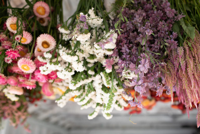  Dried Flowers Bouquet, Dry Caspia Flower Bundle