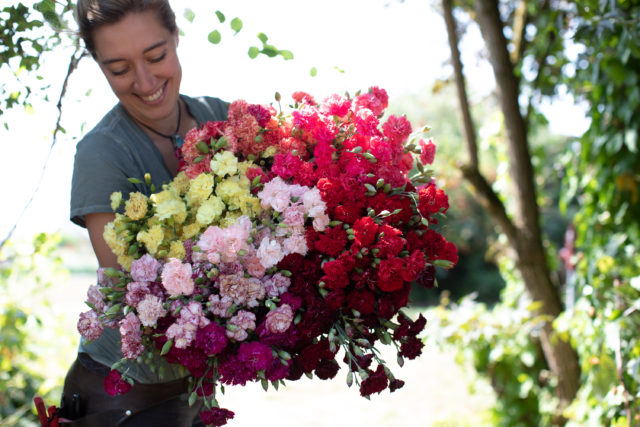 armload of carnations
