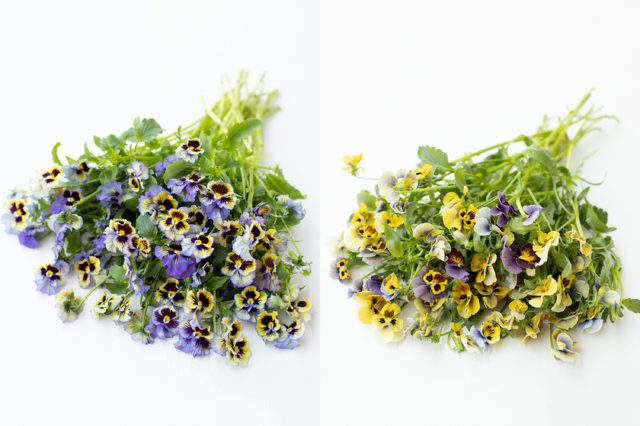 Pansies from Floret