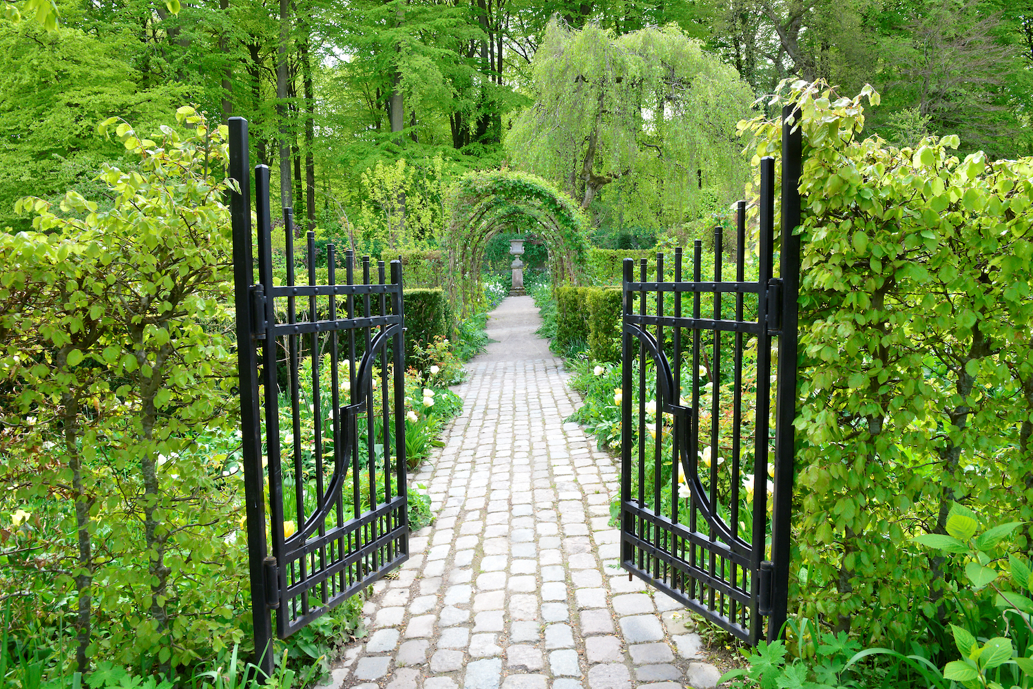 Garden gate Claus Dalby interview on Floret Blog