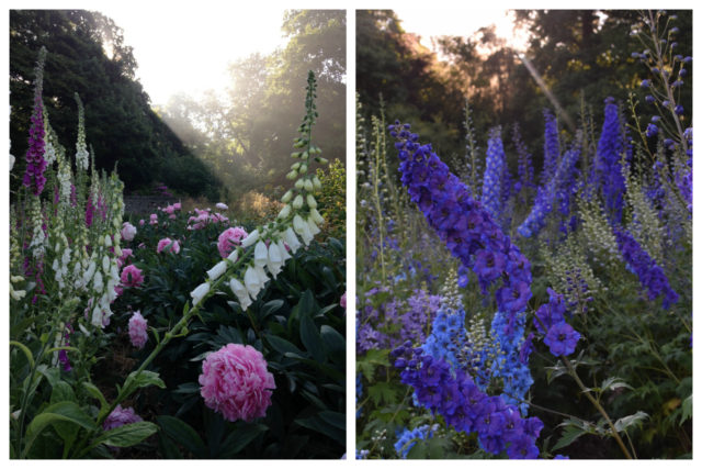 Chatsworth Gardens on Floret blog