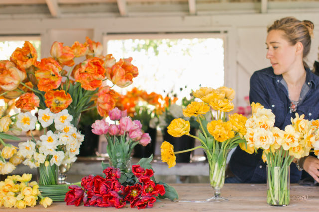 Discovering Dried Flowers - Floret Flowers