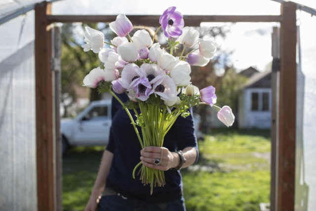 Handful of Anemones at Floret