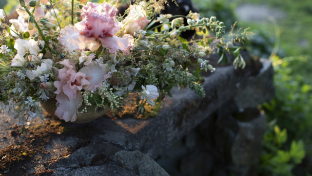 A Year in Flowers Week 22 bouquet featuring bearded iris