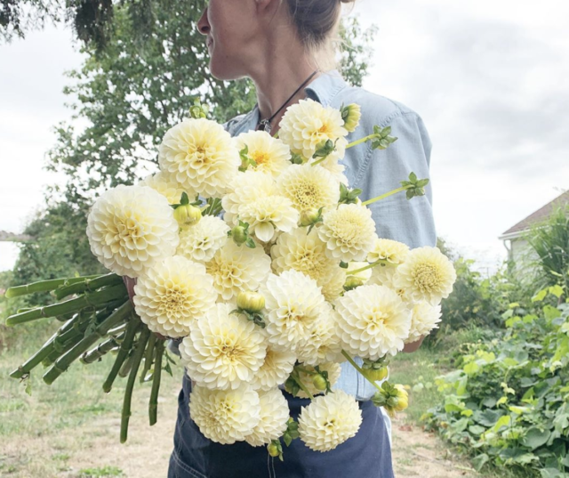 Floret Farm's A Year in Flowers Week 32