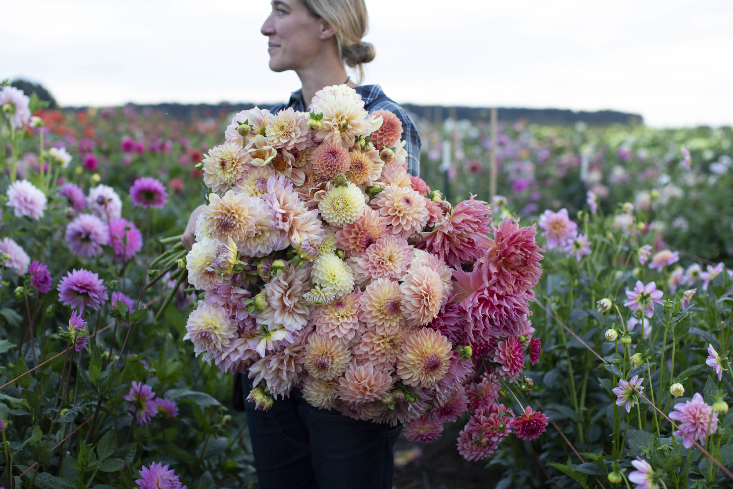 Erin Benzakein with an armload of dahlias