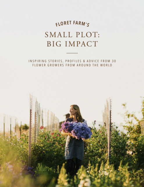 Small Plot: Big Impact