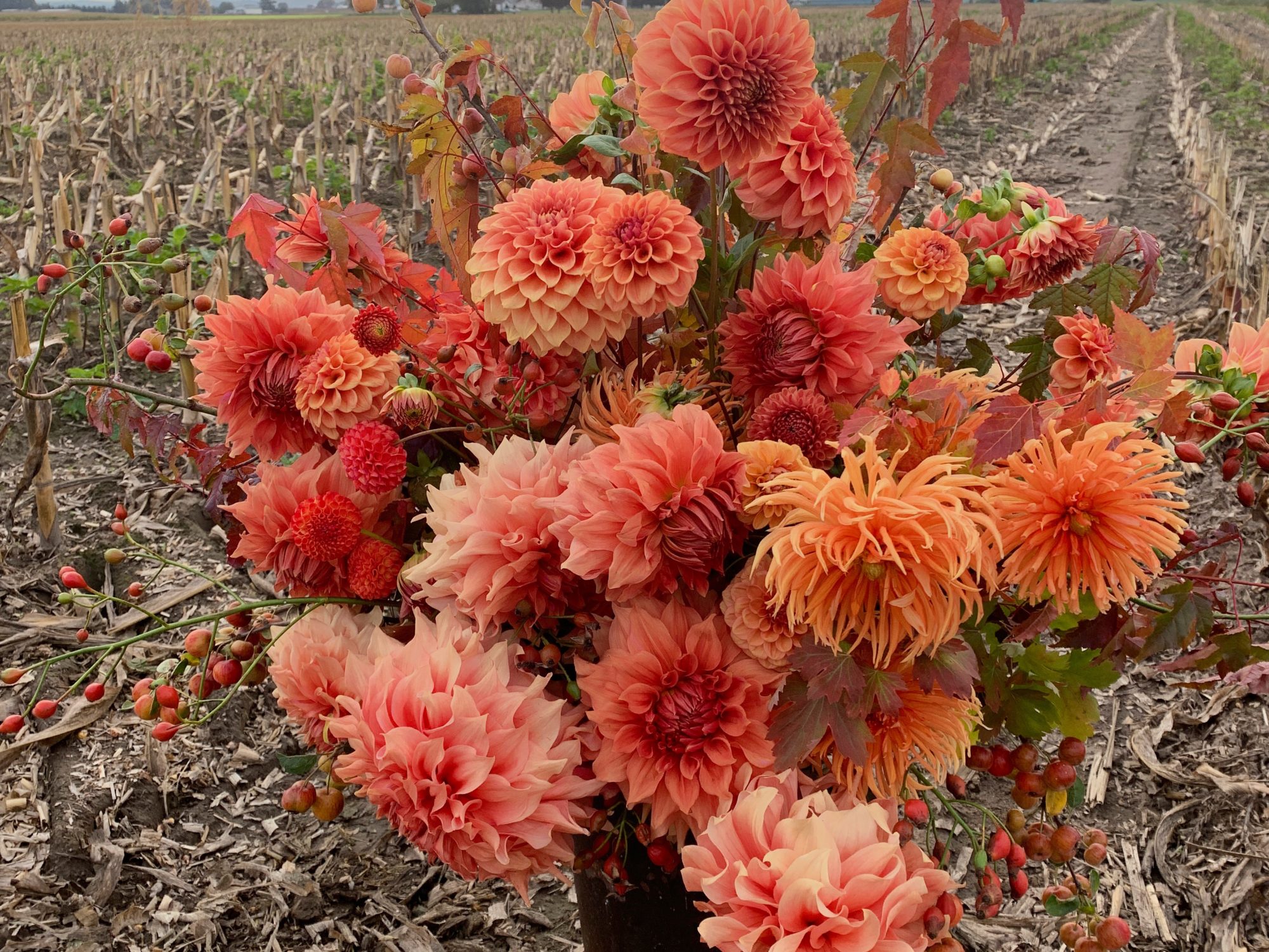 A Year In Flowers Floret Flowers