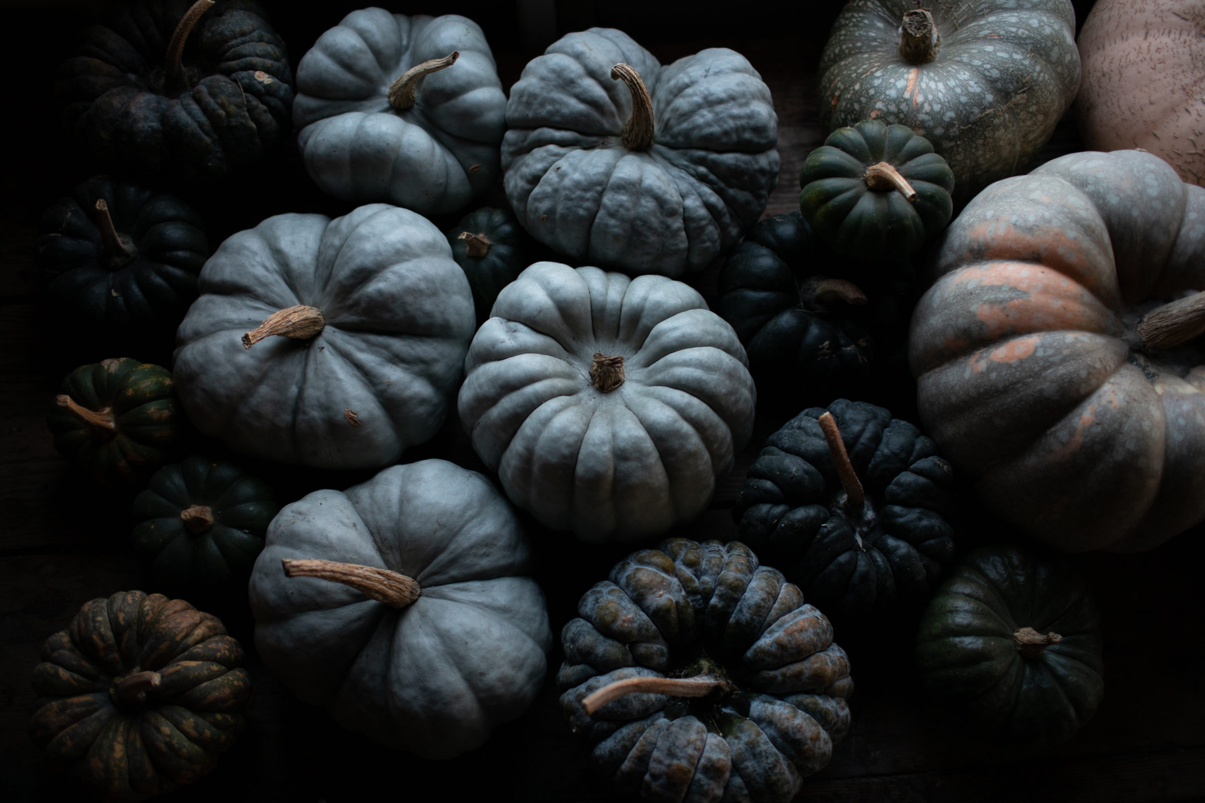 Heirloom pumpkins