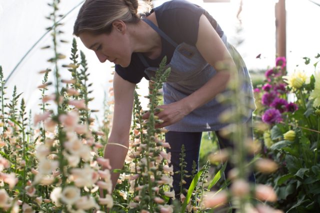 Erin cu foxglove în hoophouse