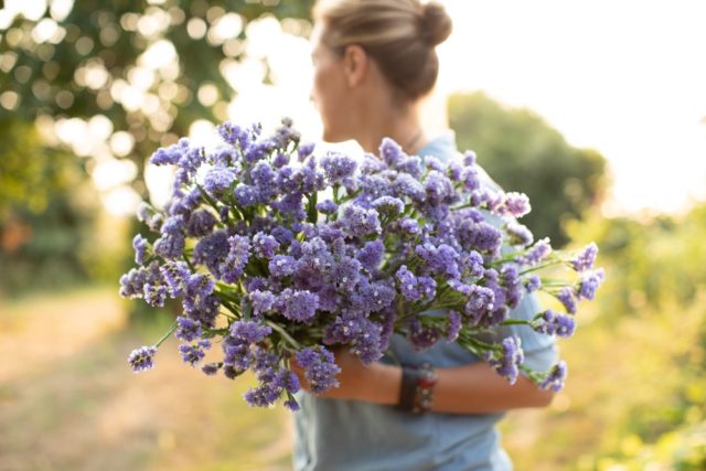 Best Flowers to Dry