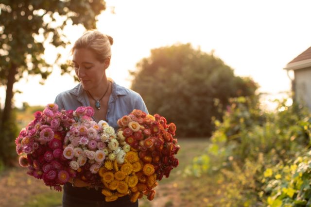 DIY Dried Flower Wrap Bouquet - Pastel Colors - E's Florals