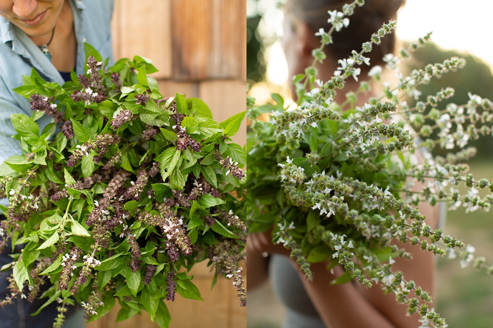 Fabulous Foliage and Fillers Floret Flowers