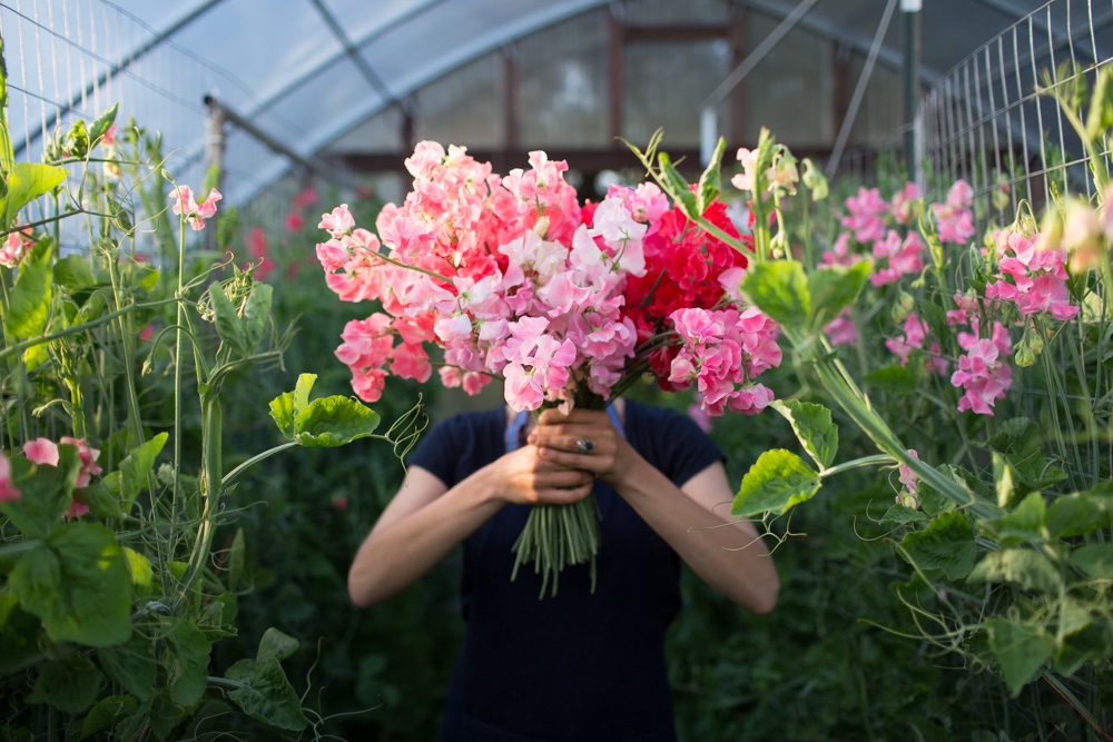 Sweet pea bouquet deals