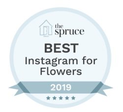 The Spruce Best Instagram for Flowers