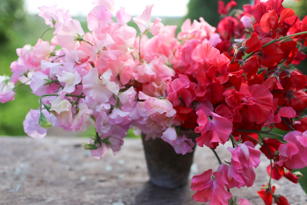 Find local flowers for Mother’s Day through Floret's FarmerFlorist